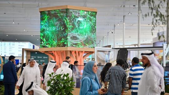 INVNT-Innovation_COP28_Tree-Of-Life_Image2