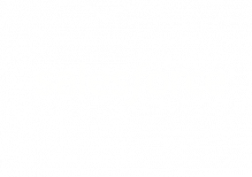 salesforce2